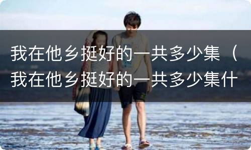 我在他乡挺好的一共多少集（我在他乡挺好的一共多少集什么时候更新）