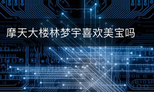 摩天大楼林梦宇喜欢美宝吗