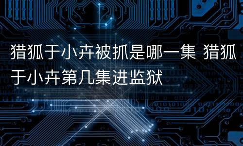 猎狐于小卉被抓是哪一集 猎狐于小卉第几集进监狱