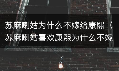 苏麻喇姑为什么不嫁给康熙（苏麻喇姑喜欢康熙为什么不嫁给他）