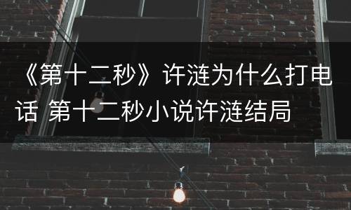 《第十二秒》许涟为什么打电话 第十二秒小说许涟结局