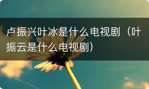 卢振兴叶冰是什么电视剧（叶振云是什么电视剧）