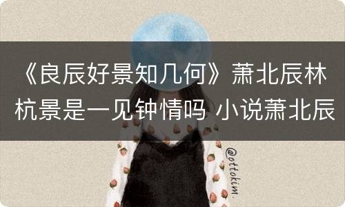 《良辰好景知几何》萧北辰林杭景是一见钟情吗 小说萧北辰结局是什么