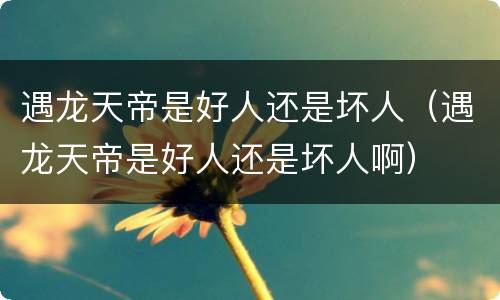 遇龙天帝是好人还是坏人（遇龙天帝是好人还是坏人啊）