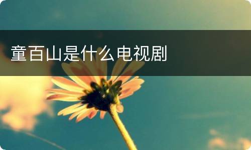 童百山是什么电视剧