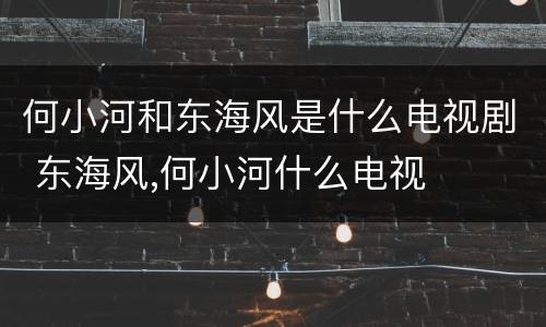 何小河和东海风是什么电视剧 东海风,何小河什么电视