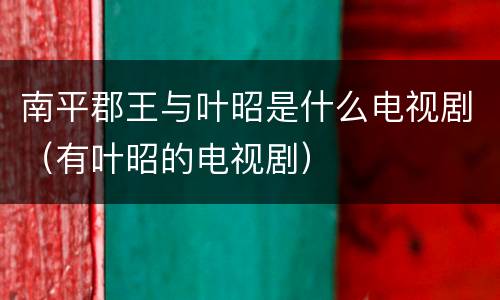 南平郡王与叶昭是什么电视剧（有叶昭的电视剧）