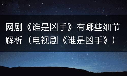 网剧《谁是凶手》有哪些细节解析（电视剧《谁是凶手》）