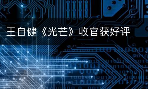 王自健《光芒》收官获好评