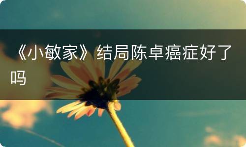 《小敏家》结局陈卓癌症好了吗