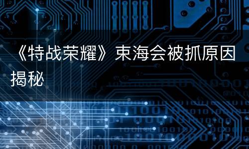 《特战荣耀》束海会被抓原因揭秘