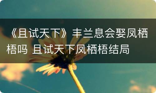 《且试天下》丰兰息会娶凤栖梧吗 且试天下凤栖梧结局