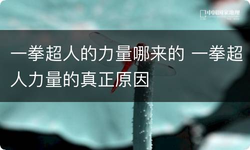一拳超人的力量哪来的 一拳超人力量的真正原因
