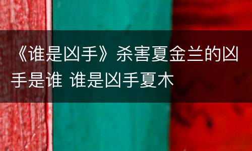 《谁是凶手》杀害夏金兰的凶手是谁 谁是凶手夏木
