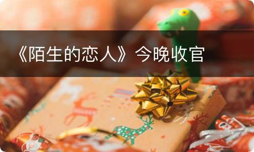 《陌生的恋人》今晚收官