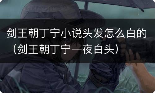 剑王朝丁宁小说头发怎么白的（剑王朝丁宁一夜白头）