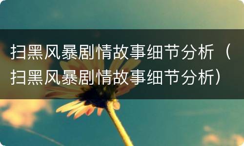 扫黑风暴剧情故事细节分析（扫黑风暴剧情故事细节分析）