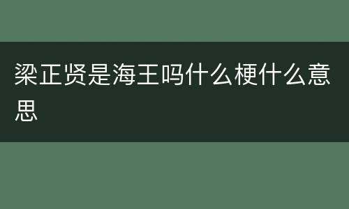 梁正贤是海王吗什么梗什么意思
