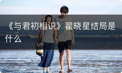《与君初相识》翟晓星结局是什么