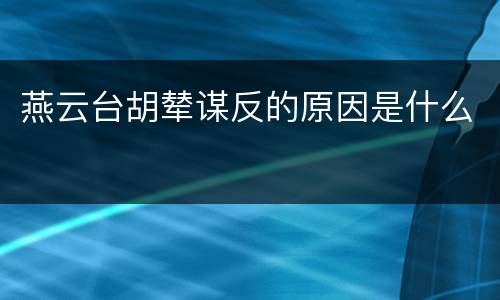 燕云台胡辇谋反的原因是什么
