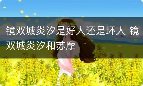 镜双城炎汐是好人还是坏人 镜双城炎汐和苏摩