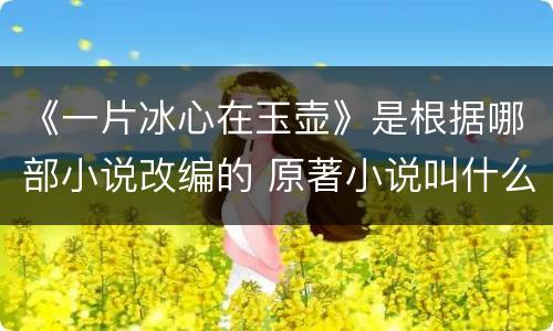 《一片冰心在玉壶》是根据哪部小说改编的 原著小说叫什么名字