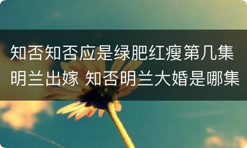 知否知否应是绿肥红瘦第几集明兰出嫁 知否明兰大婚是哪集