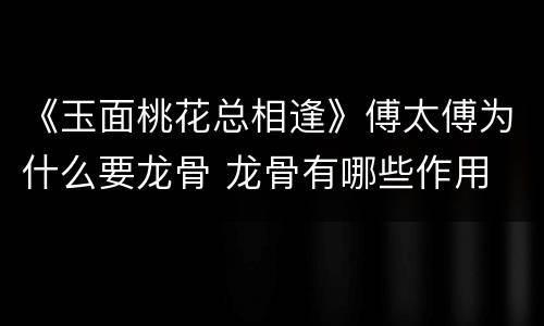 《玉面桃花总相逢》傅太傅为什么要龙骨 龙骨有哪些作用