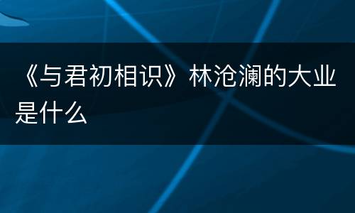 《与君初相识》林沧澜的大业是什么