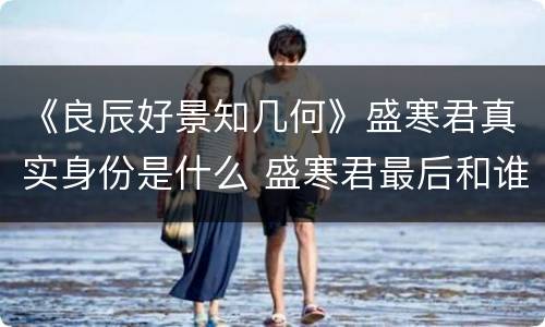 《良辰好景知几何》盛寒君真实身份是什么 盛寒君最后和谁在一起