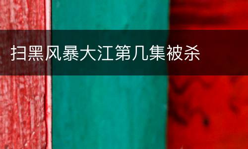 扫黑风暴大江第几集被杀