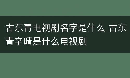 古东青电视剧名字是什么 古东青辛晴是什么电视剧