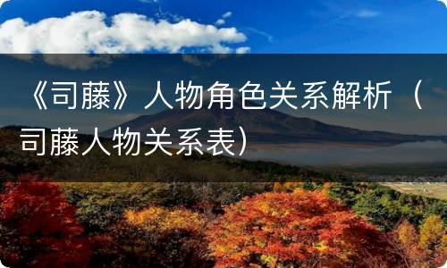 《司藤》人物角色关系解析（司藤人物关系表）