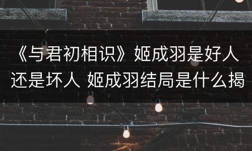 《与君初相识》姬成羽是好人还是坏人 姬成羽结局是什么揭秘