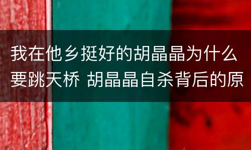 我在他乡挺好的胡晶晶为什么要跳天桥 胡晶晶自杀背后的原因解析