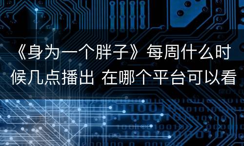 《身为一个胖子》每周什么时候几点播出 在哪个平台可以看