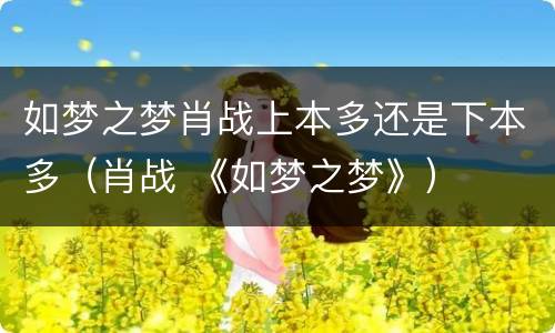 如梦之梦肖战上本多还是下本多（肖战 《如梦之梦》）