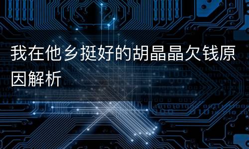 我在他乡挺好的胡晶晶欠钱原因解析