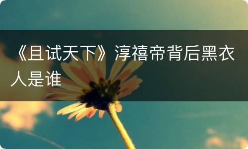 《且试天下》淳禧帝背后黑衣人是谁