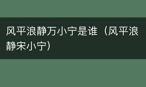 风平浪静万小宁是谁（风平浪静宋小宁）