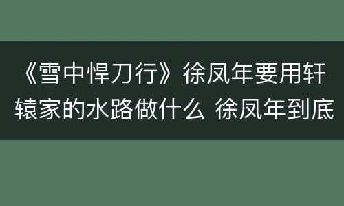 《雪中悍刀行》徐凤年要用轩辕家的水路做什么 徐凤年到底要送谁