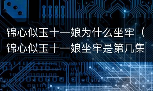 锦心似玉十一娘为什么坐牢（锦心似玉十一娘坐牢是第几集）