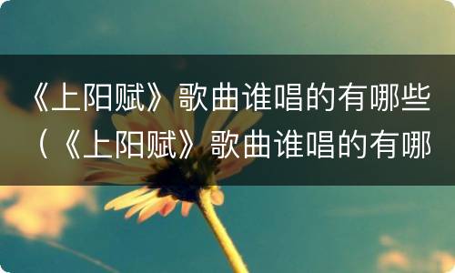 《上阳赋》歌曲谁唱的有哪些（《上阳赋》歌曲谁唱的有哪些歌）