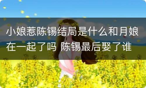小娘惹陈锡结局是什么和月娘在一起了吗 陈锡最后娶了谁