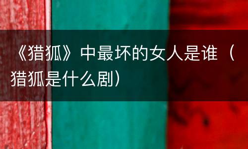 《猎狐》中最坏的女人是谁（猎狐是什么剧）