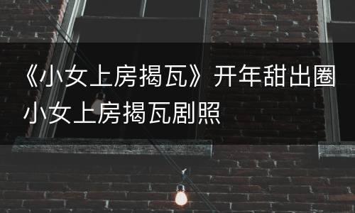 《小女上房揭瓦》开年甜出圈 小女上房揭瓦剧照