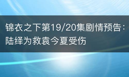 锦衣之下第19/20集剧情预告：陆绎为救袁今夏受伤