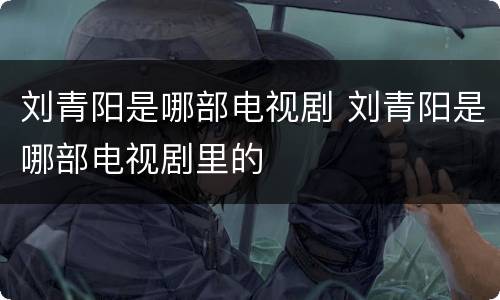 刘青阳是哪部电视剧 刘青阳是哪部电视剧里的