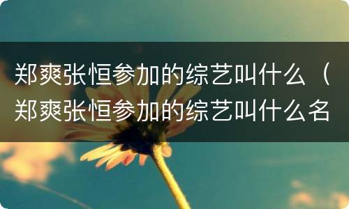 郑爽张恒参加的综艺叫什么（郑爽张恒参加的综艺叫什么名字）