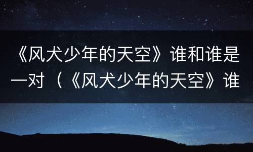 《风犬少年的天空》谁和谁是一对（《风犬少年的天空》谁和谁是一对情侣）